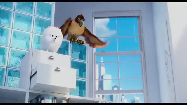 Pets - Vita da animali