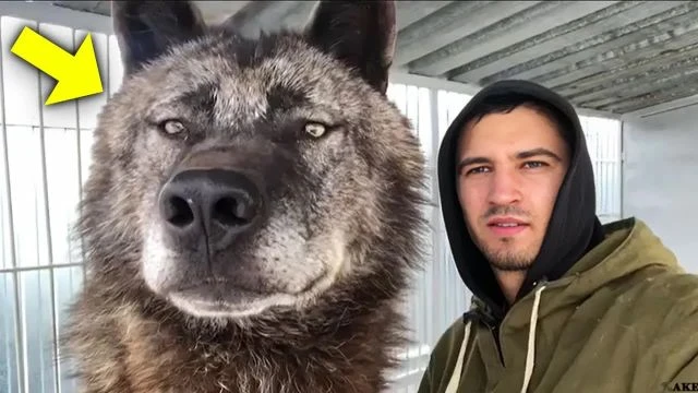 أنقذ الرجل جروا متخلى عنه. لكن بعد أشهر اكتشف أنه ليس كلبا!